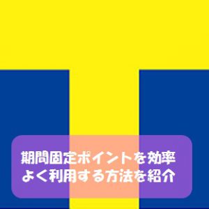 Yahoo!JAPANの期間固定ポイントを効率良く消化する方法